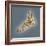 Normal Foot, 3D CT Scan-ZEPHYR-Framed Premium Photographic Print