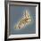 Normal Foot, 3D CT Scan-ZEPHYR-Framed Premium Photographic Print