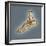 Normal Foot, 3D CT Scan-ZEPHYR-Framed Premium Photographic Print