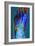 Normal Foot, X-ray-Du Cane Medical-Framed Photographic Print