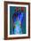 Normal Foot, X-ray-Du Cane Medical-Framed Photographic Print