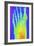 Normal Left Foot, X-ray-PASIEKA-Framed Photographic Print