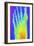 Normal Left Foot, X-ray-PASIEKA-Framed Photographic Print