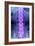 Normal Lumbar Spine, X-ray-Du Cane Medical-Framed Photographic Print