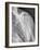 Normal Shoulder, X-ray-ZEPHYR-Framed Photographic Print