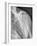 Normal Shoulder, X-ray-ZEPHYR-Framed Photographic Print