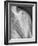 Normal Shoulder, X-ray-ZEPHYR-Framed Photographic Print