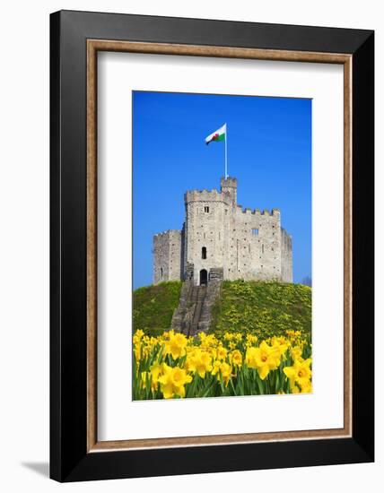 Norman Keep and daffodils, Cardiff Castle, Cardiff, Wales, United Kingdom, Europe-Billy Stock-Framed Photographic Print