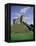 Norman Keep, Cardiff Castle, Cardiff, Glamorgan, Wales, United Kingdom-David Hunter-Framed Premier Image Canvas