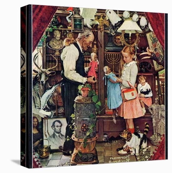 Stretched Canvas Print, , large