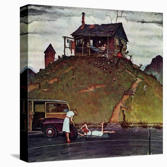 Stretched Canvas Print, , large