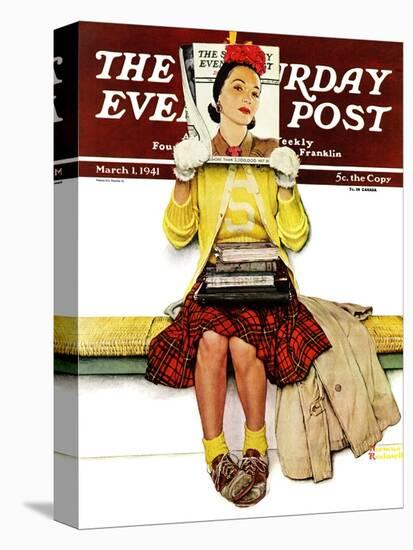 Stretched Canvas Print, , large