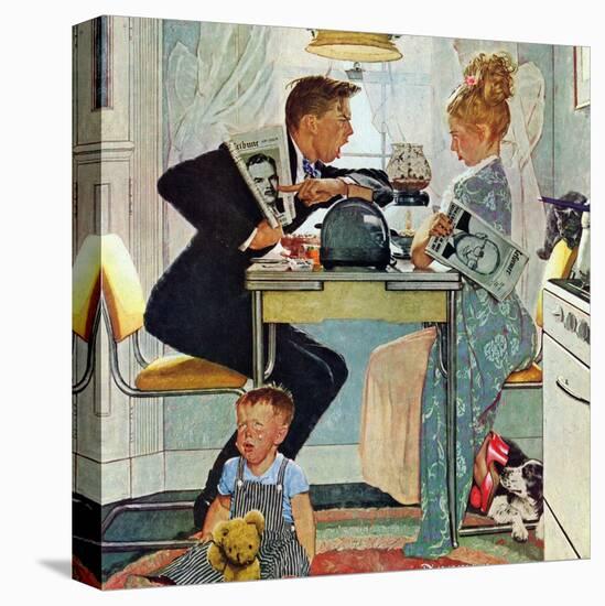 Stretched Canvas Print, , large