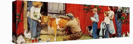 Stretched Canvas Print, , large