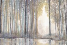 Forest Reflections-Norman Wyatt Jr^-Art Print