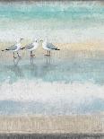 Sea Glass Shore 2-Norman Wyatt Jr^-Art Print