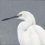Shore Birds II-Norman Wyatt Jr.-Art Print