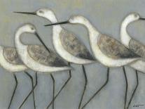 Seabird Thoughts 1-Norman Wyatt Jr^-Giclee Print