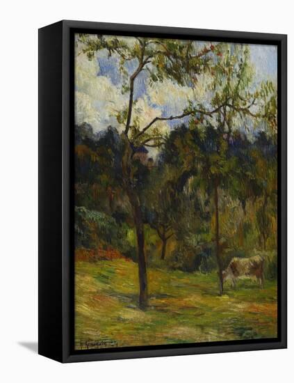 Normandy Landscape; Paysage De Normandie, Vache Dans Un Pre-Paul Gauguin-Framed Premier Image Canvas