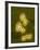 Norovirus Particles, TEM-Infections Centre-Framed Photographic Print