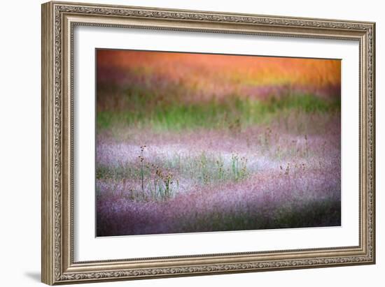 Norris Grasses-Ursula Abresch-Framed Photographic Print