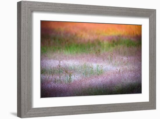 Norris Grasses-Ursula Abresch-Framed Photographic Print