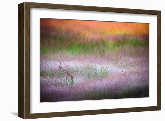 Norris Grasses-Ursula Abresch-Framed Photographic Print