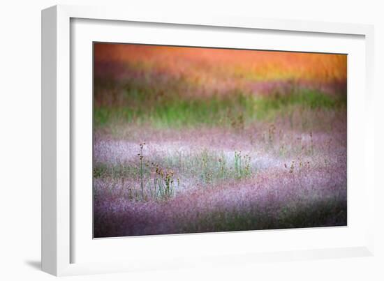 Norris Grasses-Ursula Abresch-Framed Photographic Print