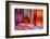 North Africa, Africa, Morocco, Marrakesh. Tradtional Moroccan textiles.-Kymri Wilt-Framed Photographic Print