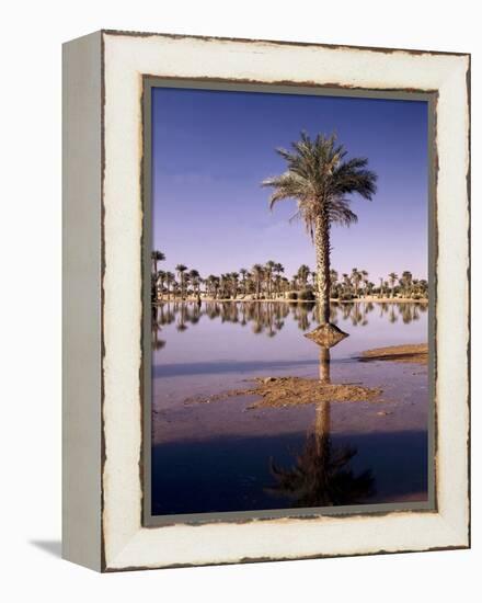 North Africa, Algeria, Sahara, Oasis, Date Palms-Thonig-Framed Premier Image Canvas