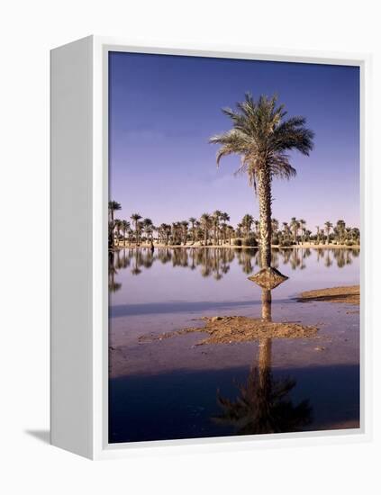 North Africa, Algeria, Sahara, Oasis, Date Palms-Thonig-Framed Premier Image Canvas