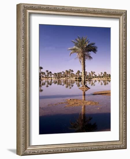 North Africa, Algeria, Sahara, Oasis, Date Palms-Thonig-Framed Photographic Print