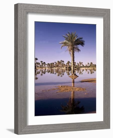 North Africa, Algeria, Sahara, Oasis, Date Palms-Thonig-Framed Photographic Print