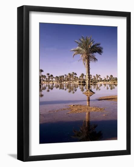 North Africa, Algeria, Sahara, Oasis, Date Palms-Thonig-Framed Photographic Print