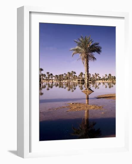 North Africa, Algeria, Sahara, Oasis, Date Palms-Thonig-Framed Photographic Print