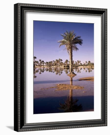 North Africa, Algeria, Sahara, Oasis, Date Palms-Thonig-Framed Photographic Print