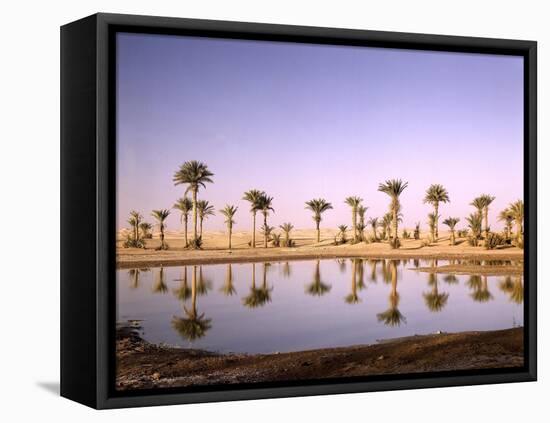 North Africa, Algeria, Sahara, Oasis, Date Palms-Thonig-Framed Premier Image Canvas