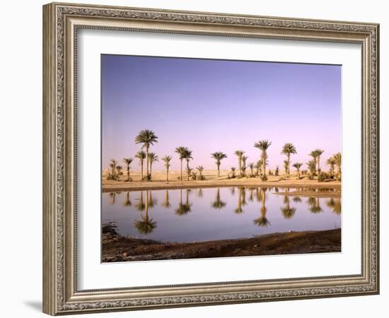 North Africa, Algeria, Sahara, Oasis, Date Palms-Thonig-Framed Photographic Print