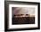 North Africa, Erg Chebbi, Dromedary camel caravan being led through desert by Tuareg man.-Emily Wilson-Framed Photographic Print