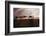 North Africa, Erg Chebbi, Dromedary camel caravan being led through desert by Tuareg man.-Emily Wilson-Framed Photographic Print