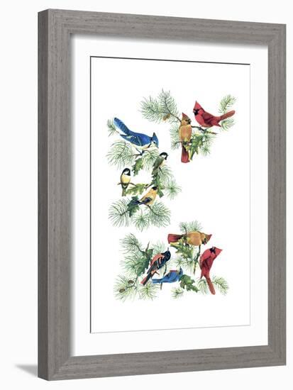 North Am Birds Cutup-null-Framed Giclee Print