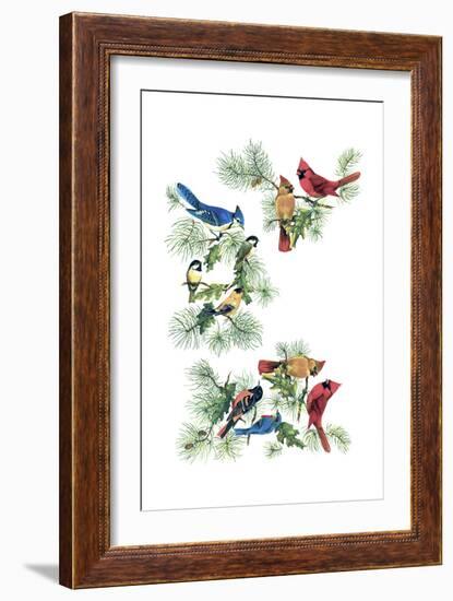 North Am Birds Cutup-null-Framed Giclee Print