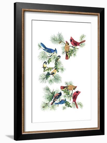 North Am Birds Cutup-null-Framed Giclee Print