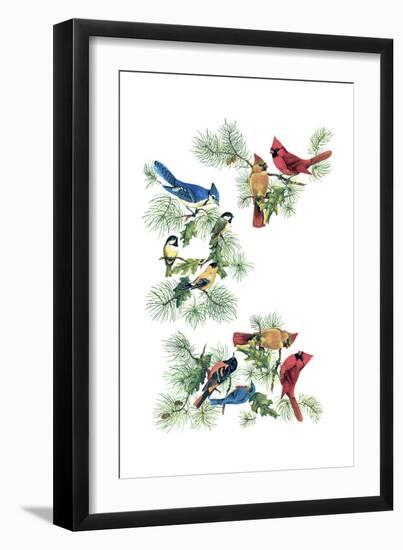 North Am Birds Cutup--Framed Giclee Print