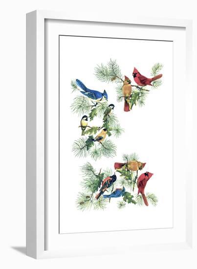 North Am Birds Cutup-null-Framed Giclee Print