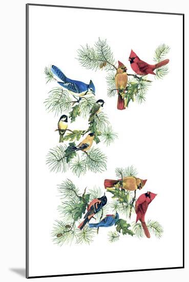 North Am Birds Cutup-null-Mounted Giclee Print