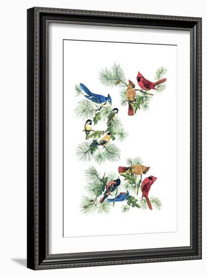 North Am Birds Cutup-null-Framed Giclee Print