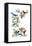 North Am Birds Cutup-null-Framed Premier Image Canvas