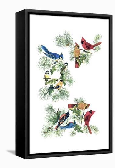 North Am Birds Cutup-null-Framed Premier Image Canvas