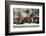 North America, the Usa, Alaska, Stellersche Sea Lions-Bernd Rommelt-Framed Photographic Print